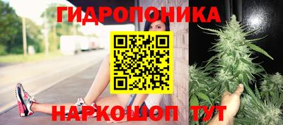 эйфоретик Краснознаменск