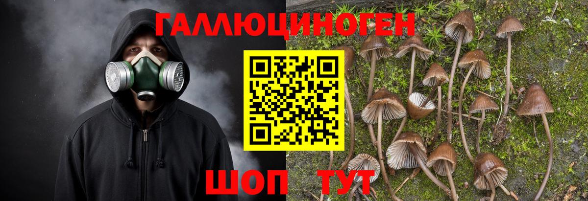 Железногорск  Галлюциногенные грибы ЛСД  Вход с VPN 